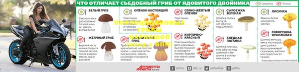 прущие крисы Бронницы