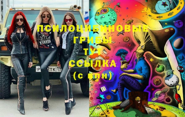 МДМА Бородино
