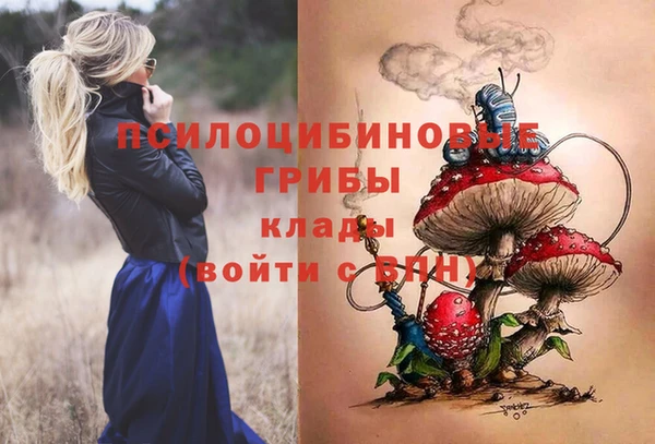 МДМА Бородино