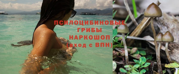 прущие крисы Бронницы